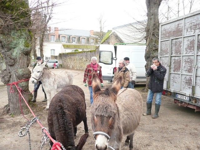 carnval 17 mars 2013 (15).jpg
